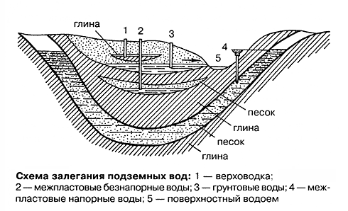 Залегание грунтовых вод. Схема. Залегание грунтовых вод. Схема.