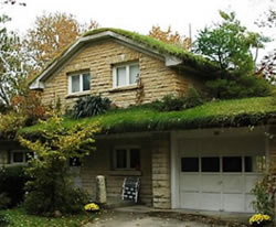 Зелёная травяная крыша для своего дома